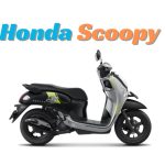 Honda Scoopy